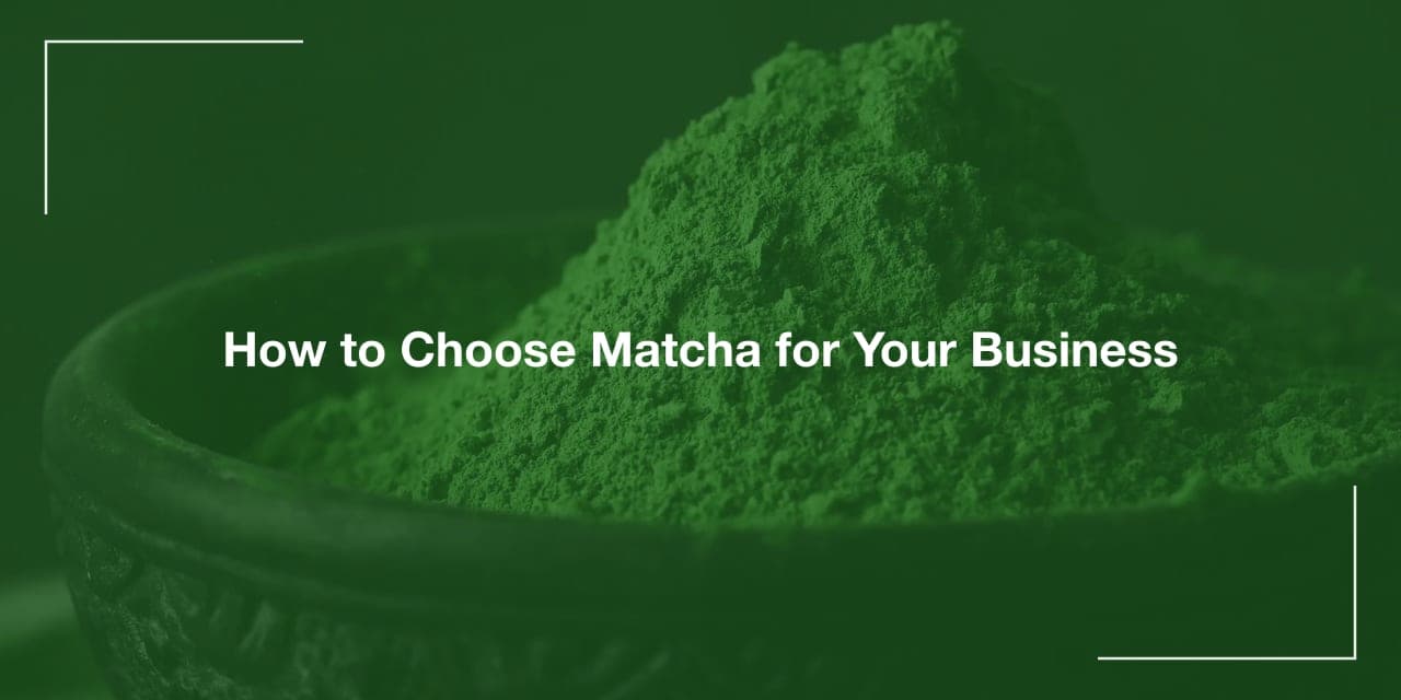 How to Choose Matcha for Your Business