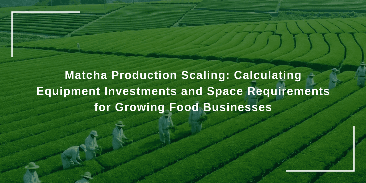 Matcha Production Scaling: Calculating Equipment Investments and Space Requirements for Growing Food Businesses