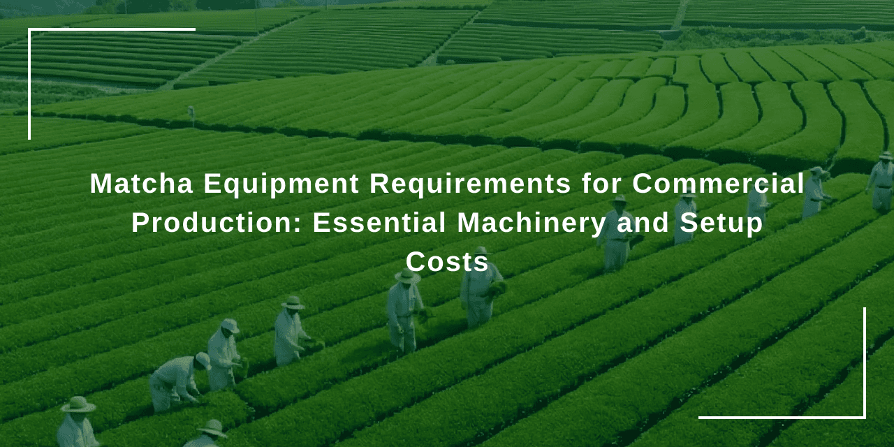 Matcha Equipment Requirements for Commercial Production: Essential Machinery and Setup Costs