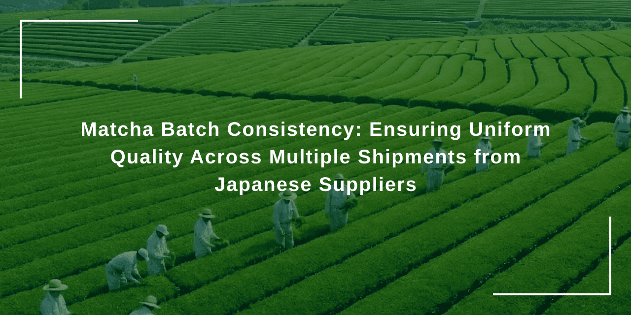 Matcha Batch Consistency: Ensuring Uniform Quality Across Multiple Shipments from Japanese Suppliers