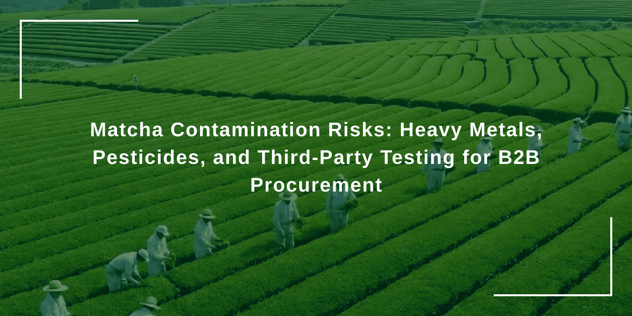 Matcha Contamination Risks: Heavy Metals, Pesticides, and Third-Party Testing for B2B Procurement