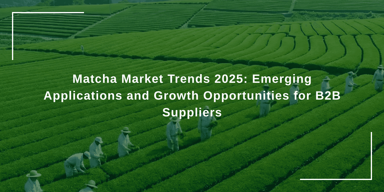 Matcha Market Trends 2025: Emerging Applications and Growth Opportunities for B2B Suppliers