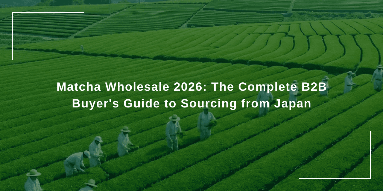Matcha Wholesale 2026: The Complete B2B Buyer's Guide to Sourcing from Japan