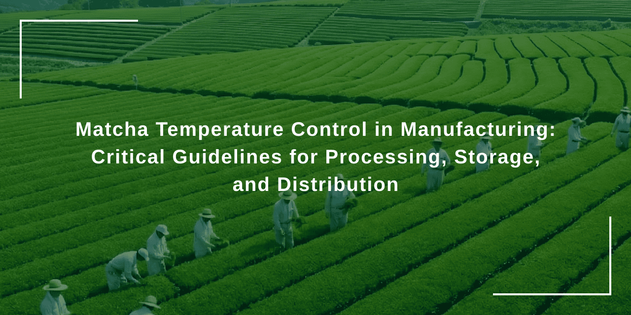 Matcha Temperature Control in Manufacturing: Critical Guidelines for Processing, Storage, and Distribution