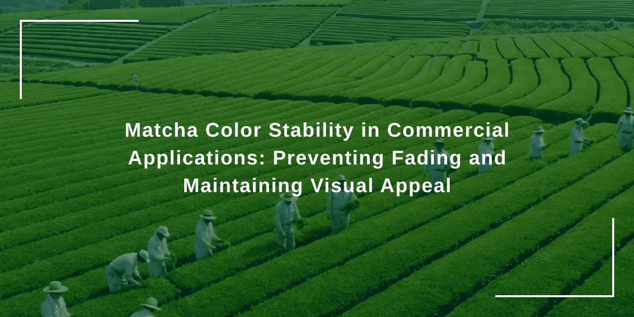 Matcha Color Stability in Commercial Applications: Preventing Fading and Maintaining Visual Appeal