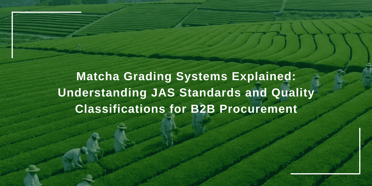 Matcha Grading Systems Explained: Understanding JAS Standards and Quality Classifications for B2B Procurement
