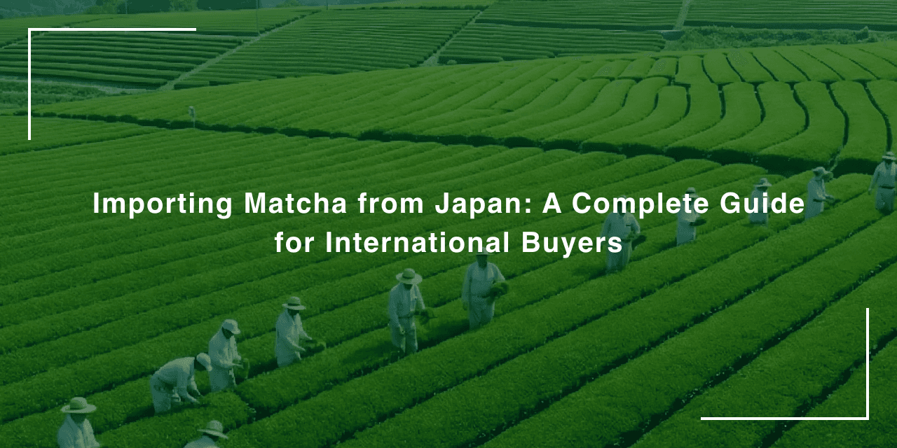 Import Matcha from Japan 2026: Bulk Supplier, MOQ & FDA Guide