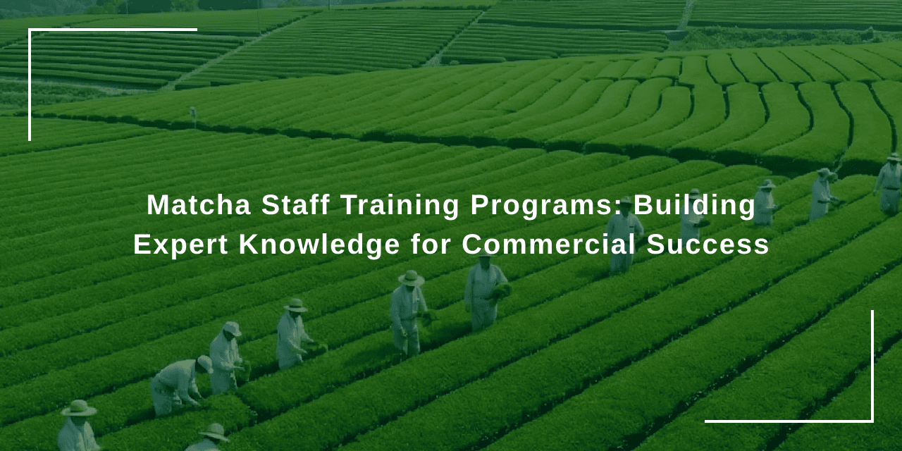 Matcha Staff Training Programs: Building Expert Knowledge for Commercial Success