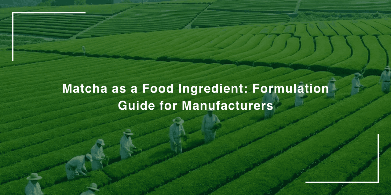 Matcha as a Food Ingredient: Formulation Guide for Manufacturers