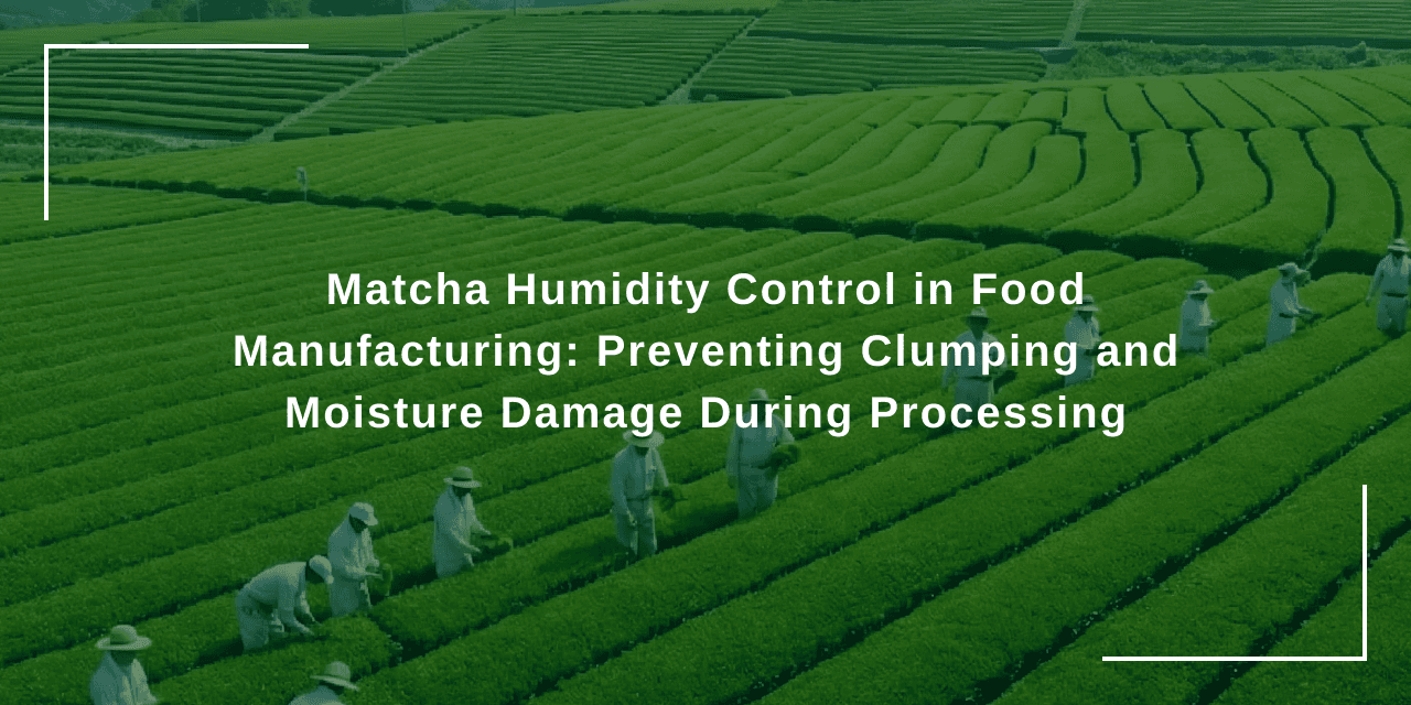 Matcha Humidity Control in Food Manufacturing: Preventing Clumping and Moisture Damage During Processing