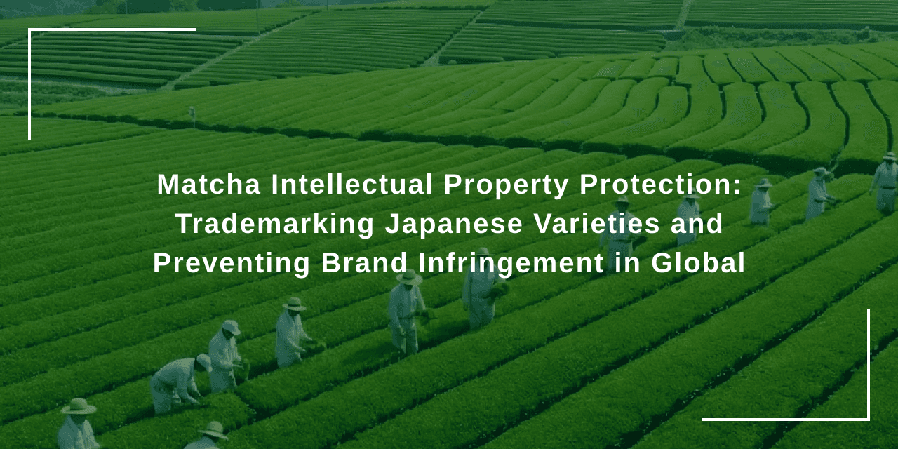 Matcha Intellectual Property Protection: Trademarking Japanese Varieties and Preventing Brand Infringement in Global Markets