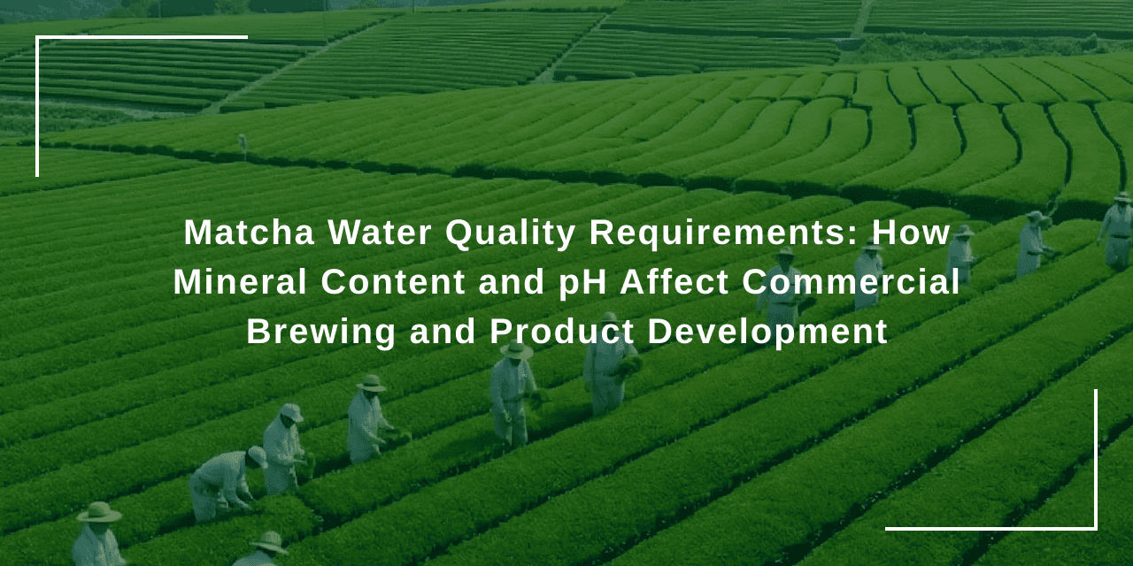 Matcha Water Quality Requirements: How Mineral Content and pH Affect Commercial Brewing and Product Development