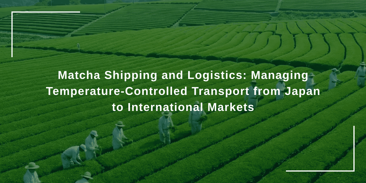 Matcha Shipping and Logistics: Managing Temperature-Controlled Transport from Japan to International Markets