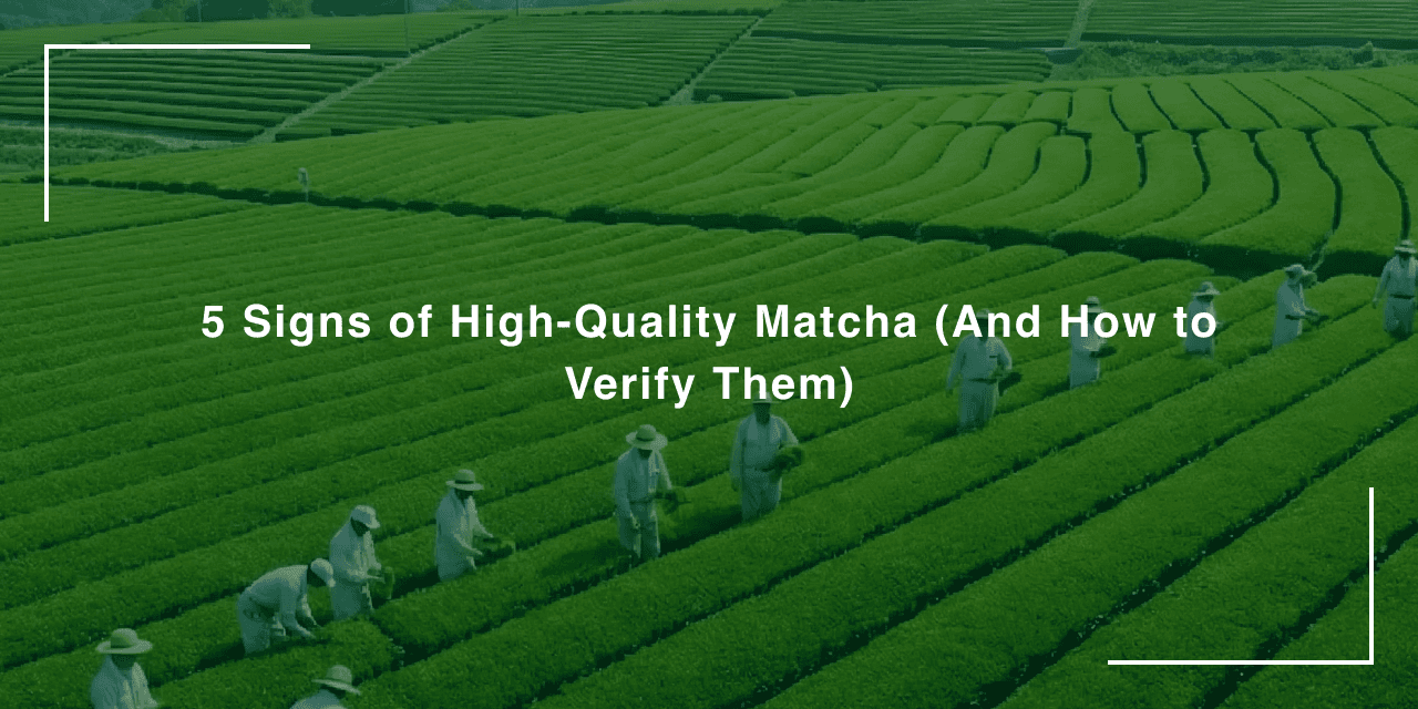 5 Signs of High-Quality Matcha (And How to Verify Them)