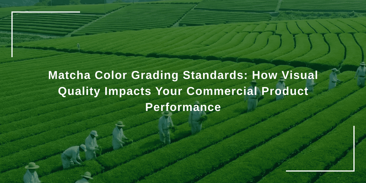 Matcha Color Grading Standards: How Visual Quality Impacts Your Commercial Product Performance