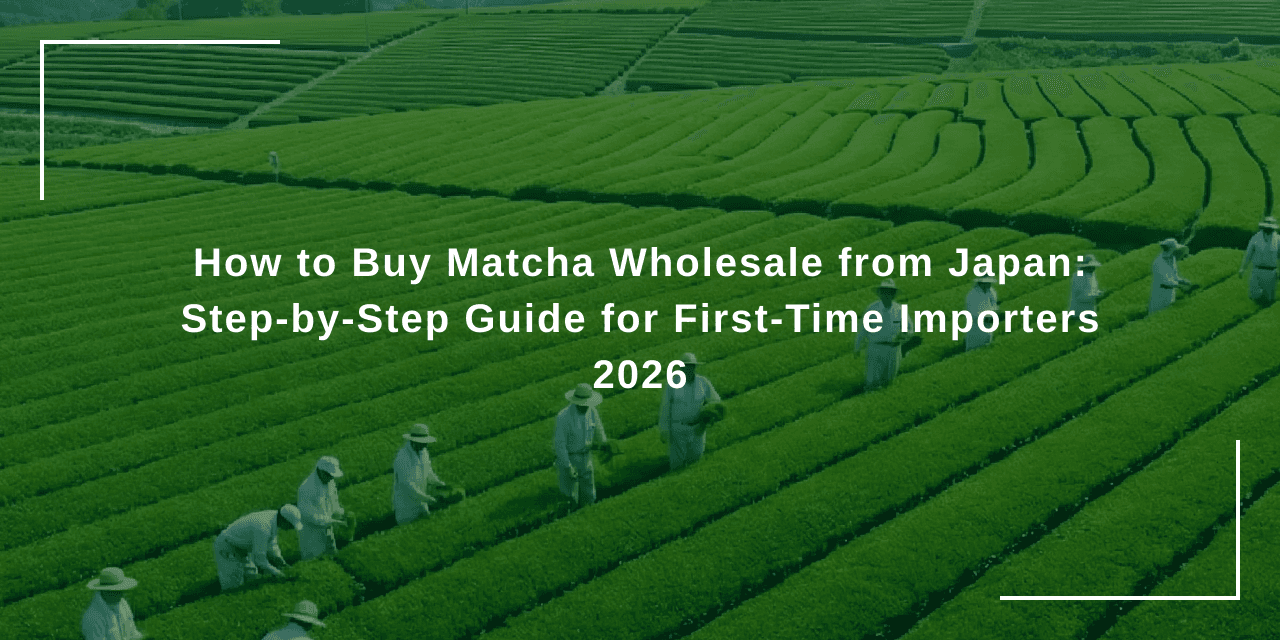 How to Buy Matcha Wholesale from Japan: Step-by-Step Guide for First-Time Importers 2026
